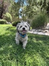 Quincy