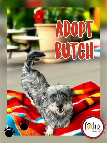 Butch