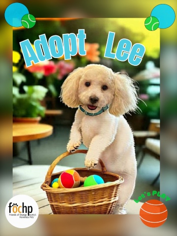Lee