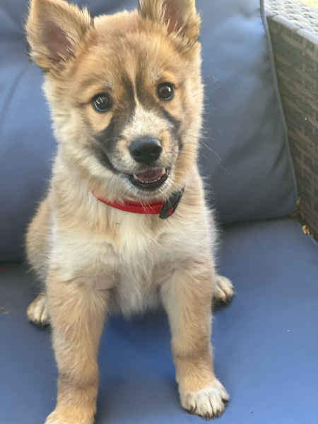 Lil Miss Winnie