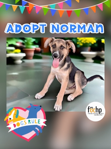 Norman