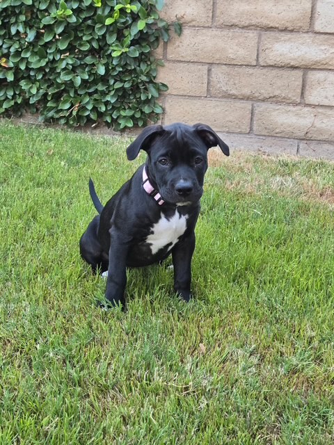 Maggie