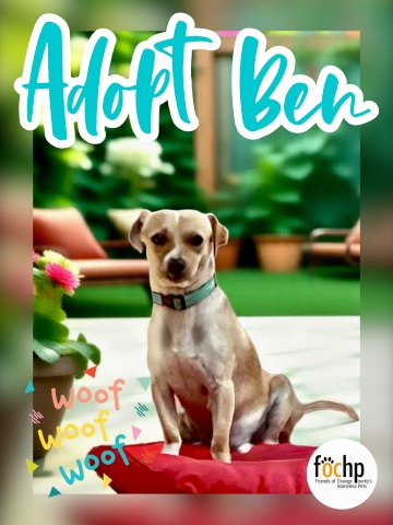 Ben
