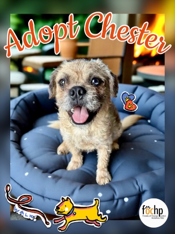 Chester