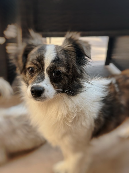 Benny
