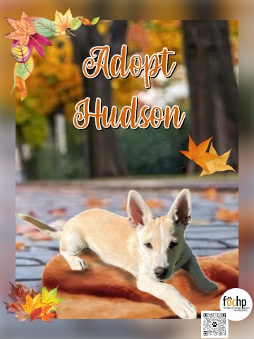 Hudson