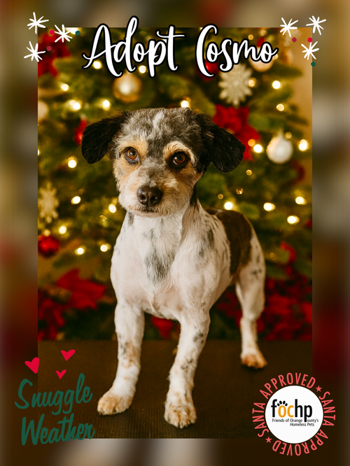 Cosmo