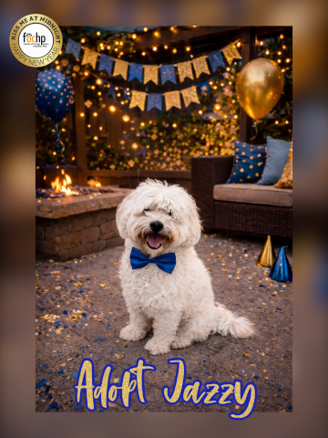 Jazzy