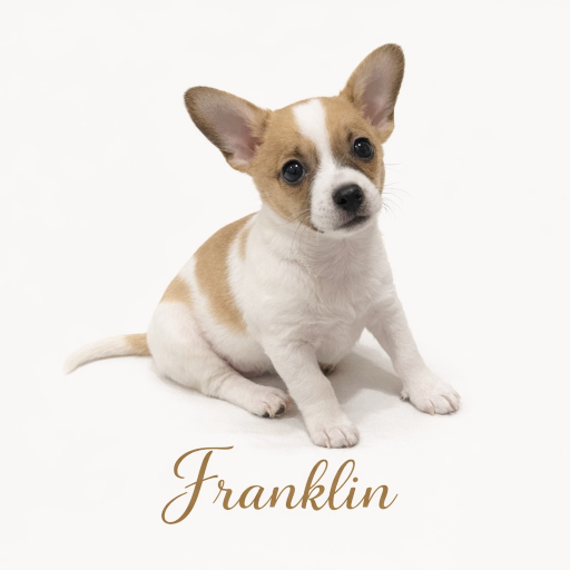 Franklin