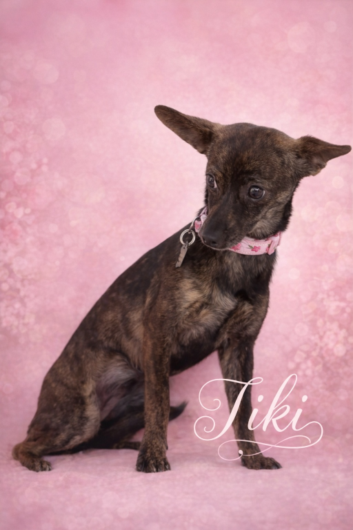 Tiki