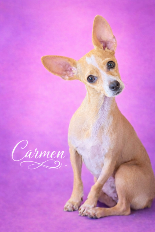 Carmen