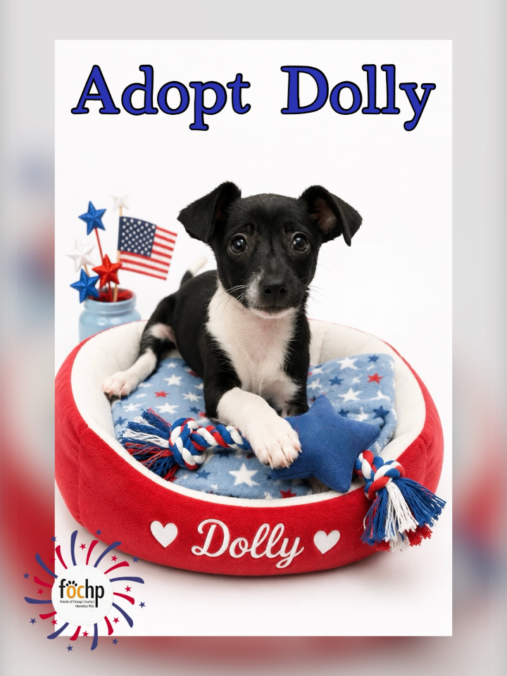Dolly