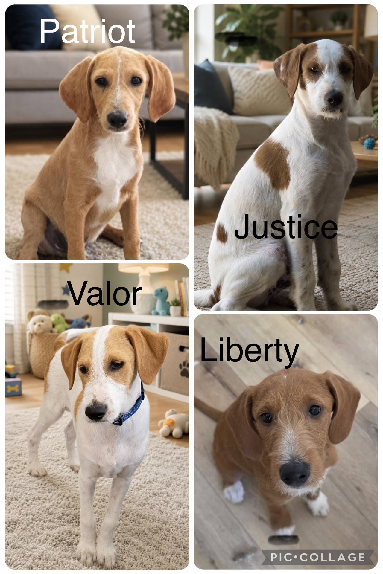 Justice