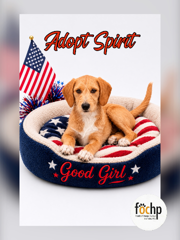 Spirit