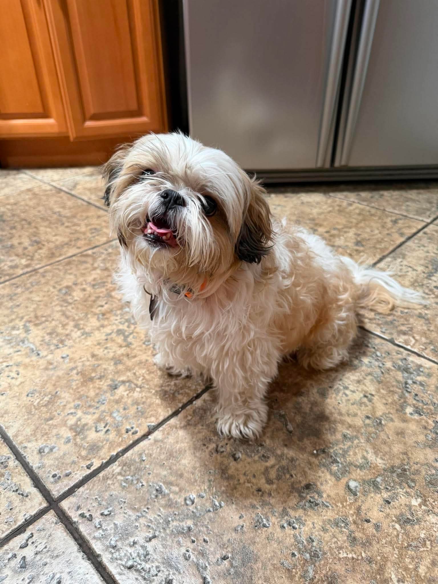 Cutie