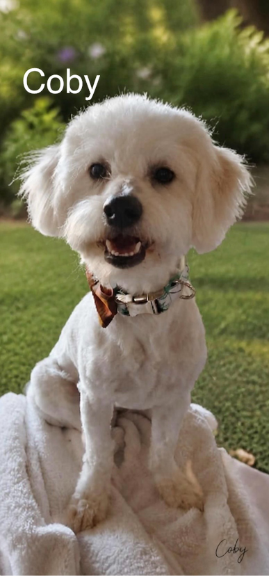 Coby