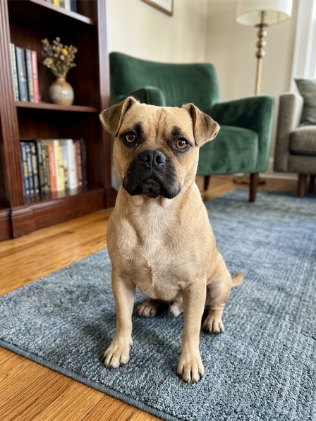 Duke